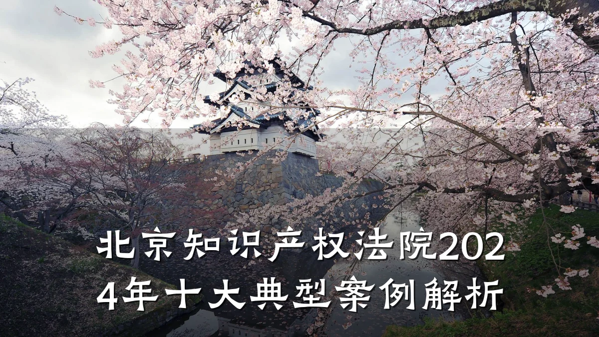 北京知识产权法院2024年十大典型案例解析