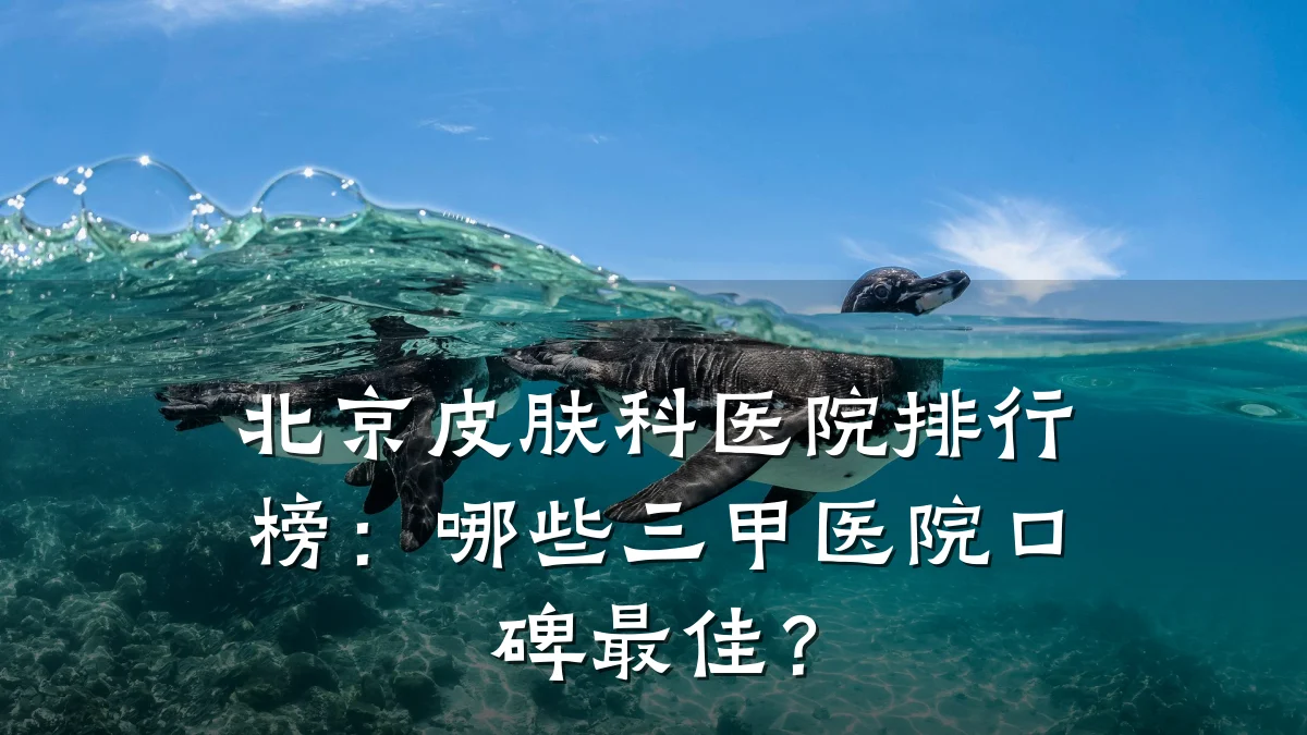 北京皮肤科医院排行榜:哪些三甲医院口碑最佳?
