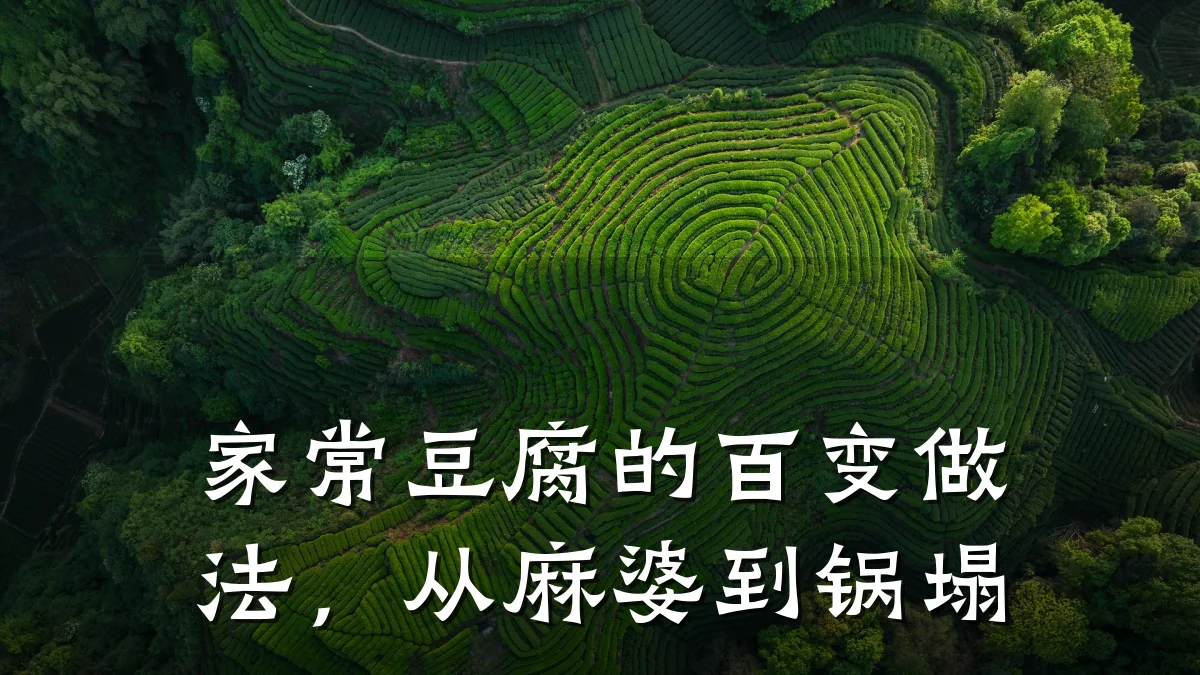 家常豆腐的百变做法,从麻婆到锅塌