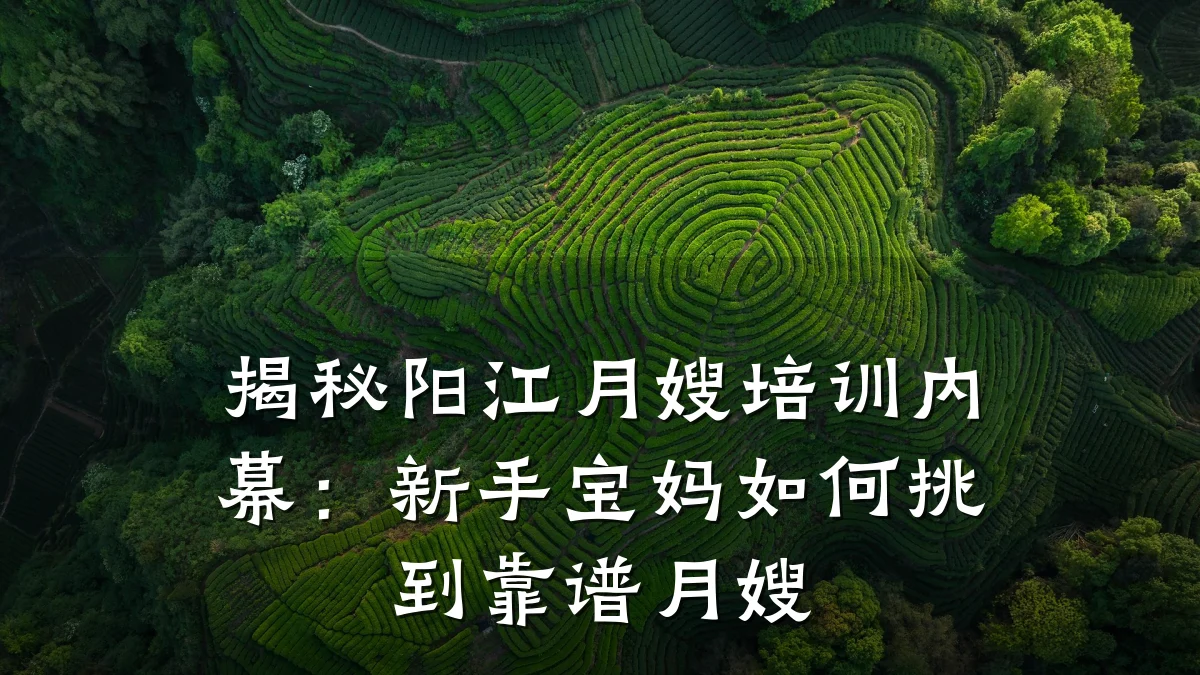 揭秘阳江月嫂培训内幕：新手宝妈如何挑到靠谱月嫂