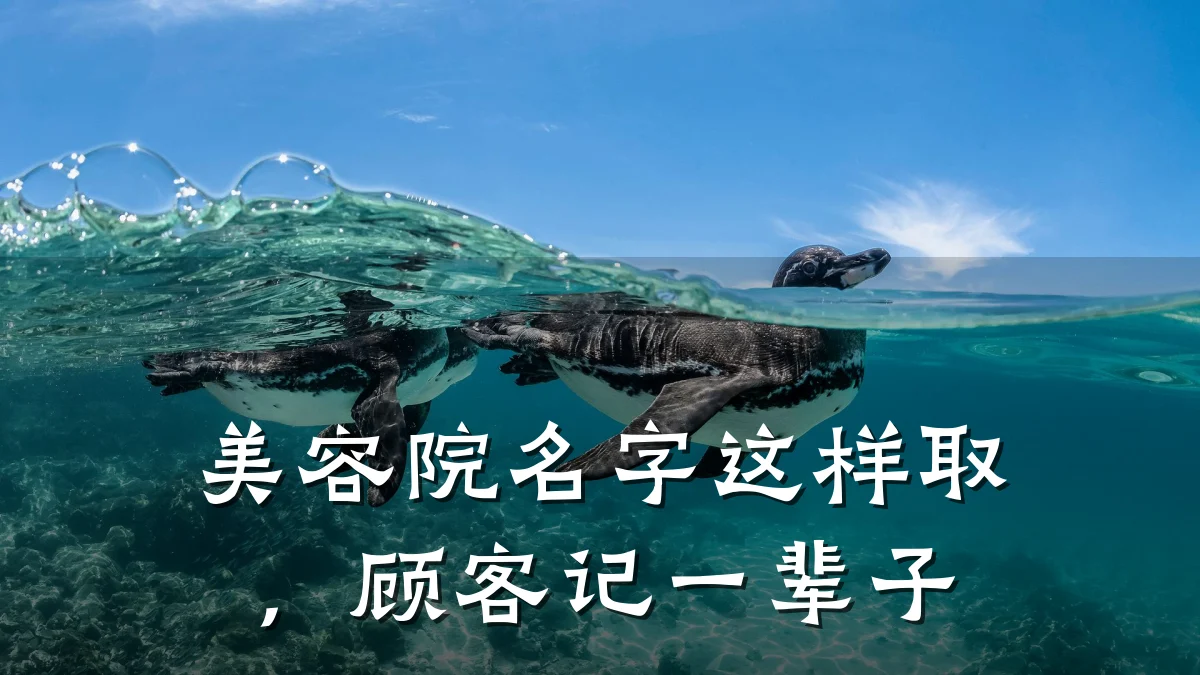 美容院名字这样取,顾客记一辈子