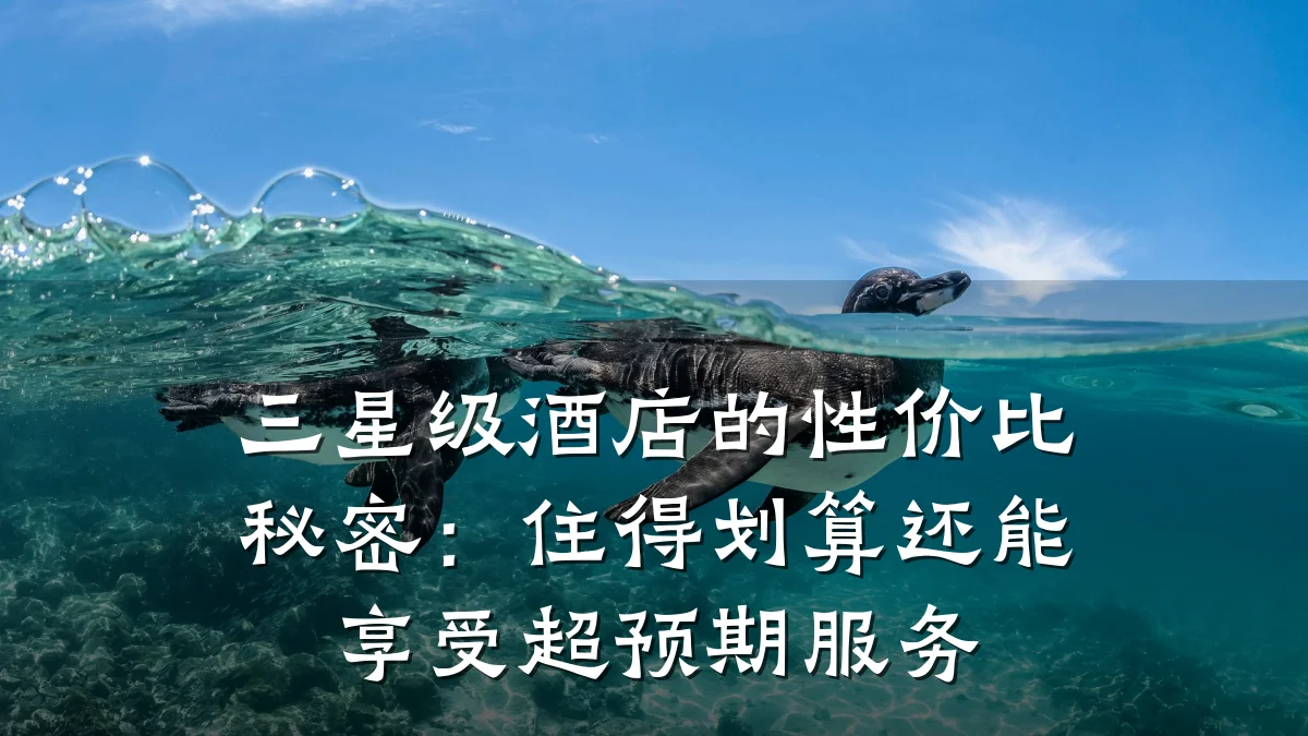 三星级酒店的性价比秘密:住得划算还能享受超预期服务