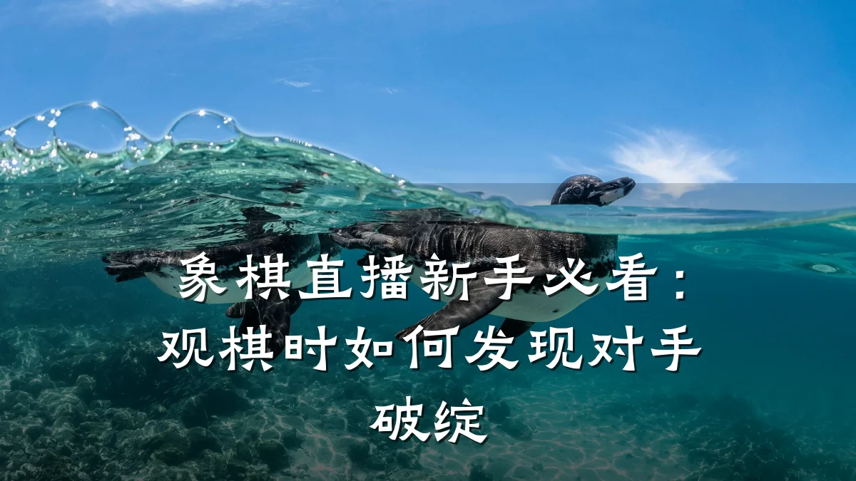 象棋直播新手必看:观棋时如何发现对手破绽