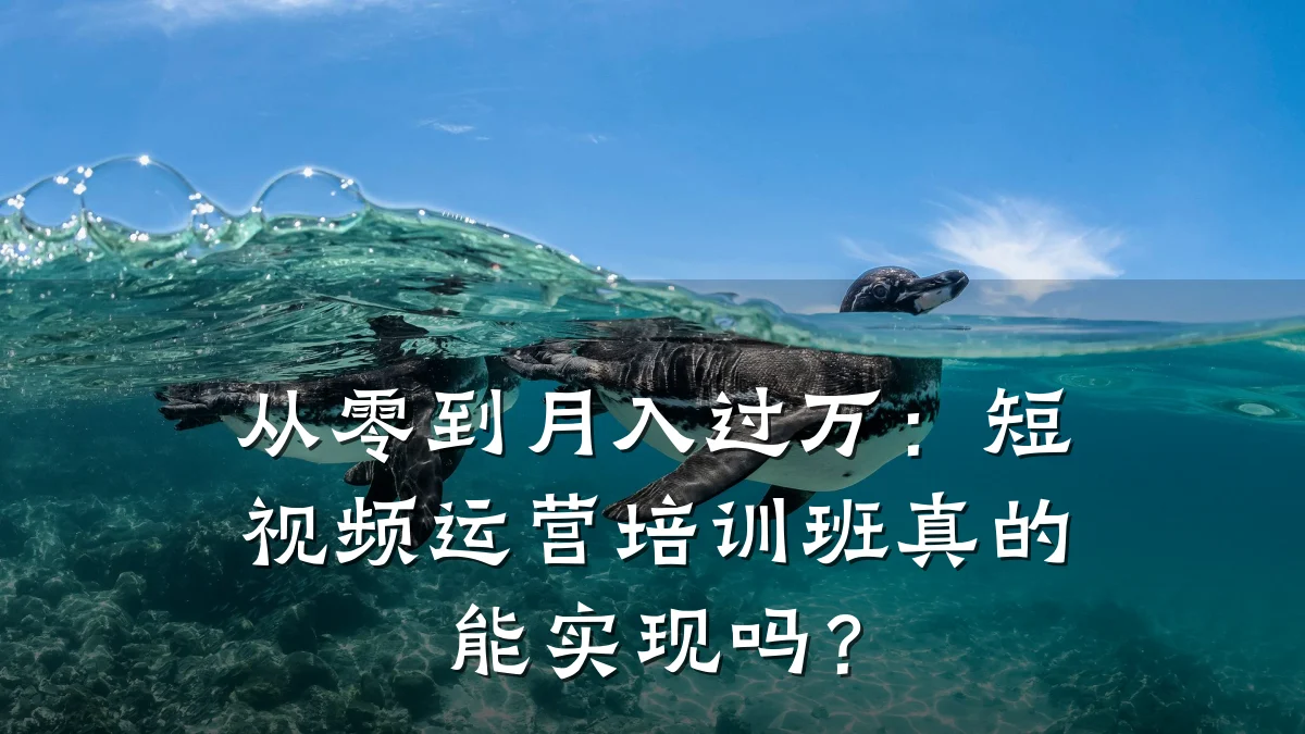从零到月入过万:短视频运营培训班真的能实现吗?