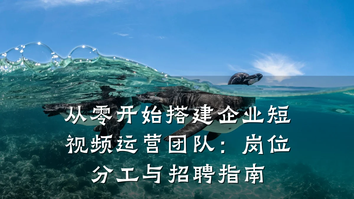从零开始搭建企业短视频运营团队：岗位分工与招聘指南
