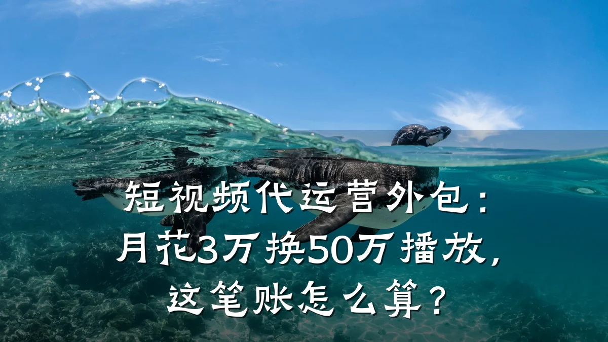 短视频代运营外包：月花3万换50万播放，这笔账怎么算？