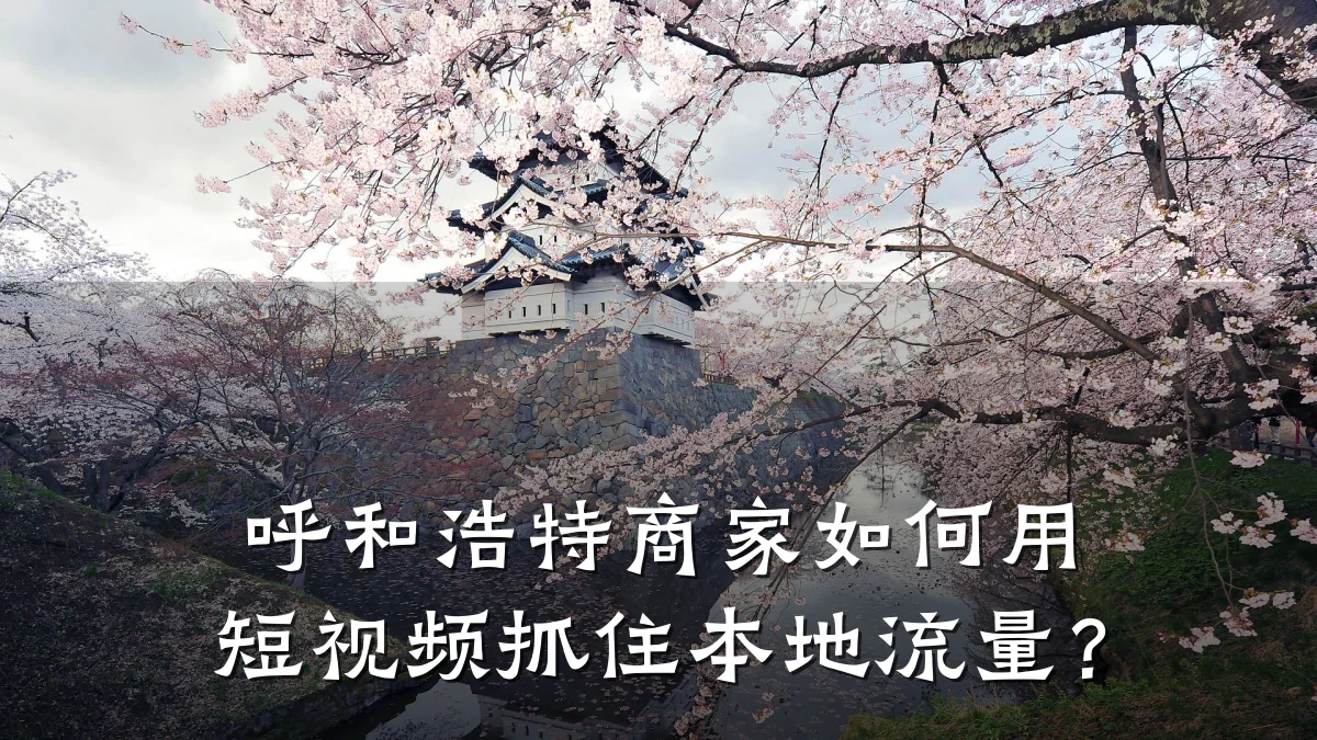 呼和浩特商家如何用短视频抓住本地流量？