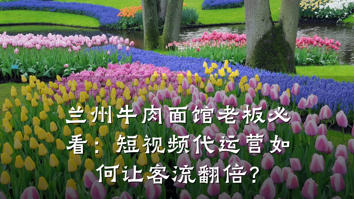兰州牛肉面馆老板必看:短视频代运营如何让客流翻倍?