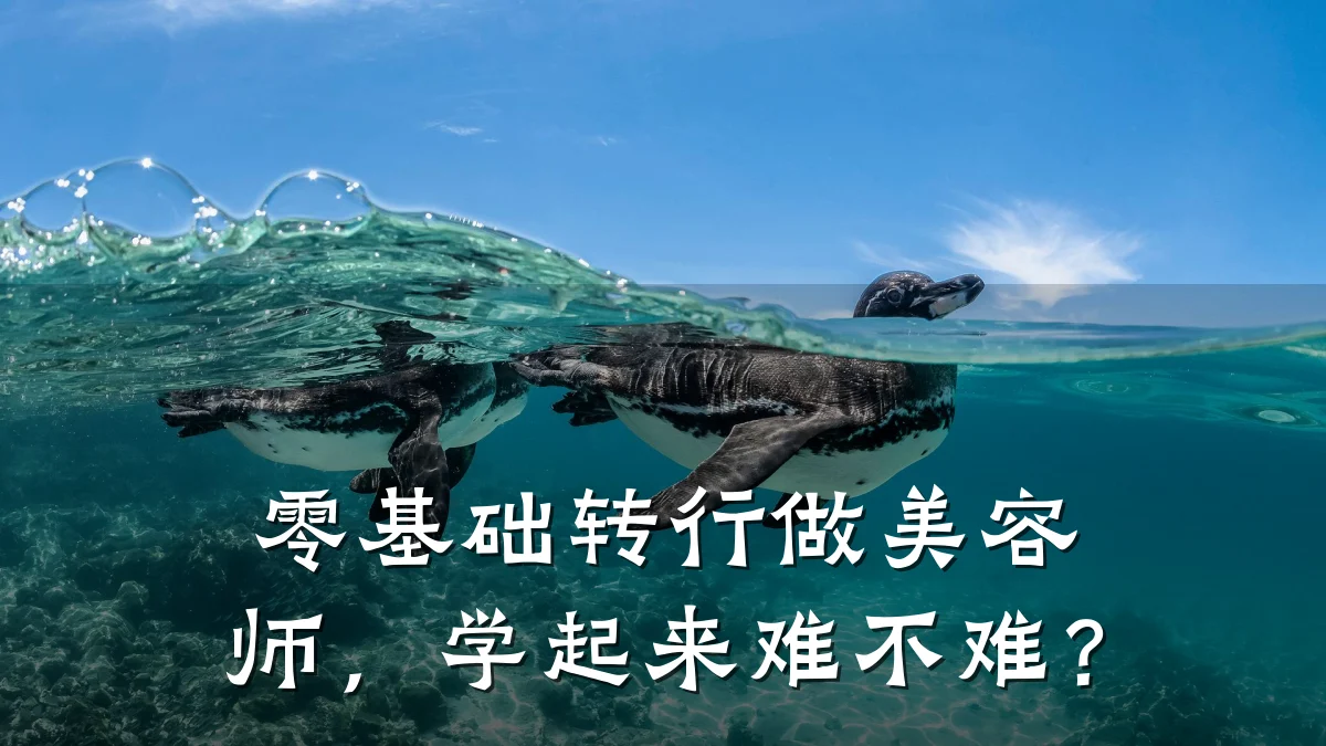 零基础转行做美容师,学起来难不难?