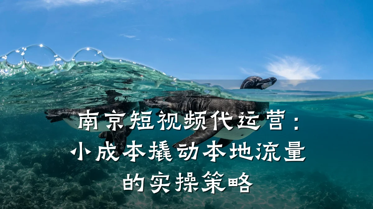南京短视频代运营：小成本撬动本地流量的实操策略