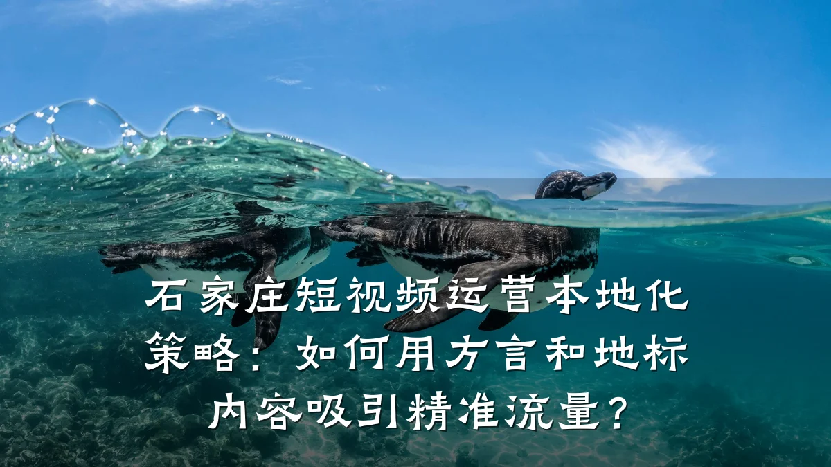石家庄短视频运营本地化策略：如何用方言和地标内容吸引精准流量？