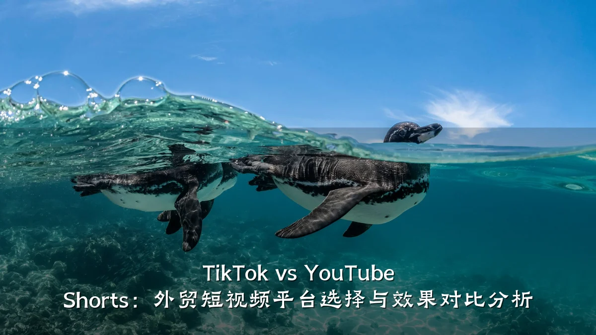 TikTok vs YouTube Shorts：外贸短视频平台选择与效果对比分析