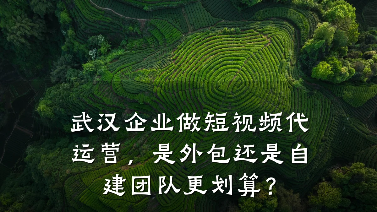 武汉企业做短视频代运营,是外包还是自建团队更划算?