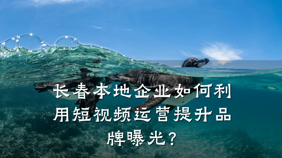 长春本地企业如何利用短视频运营提升品牌曝光?