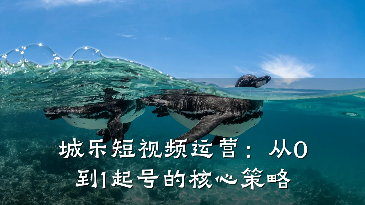 城乐短视频运营:从0到1起号的核心策略
