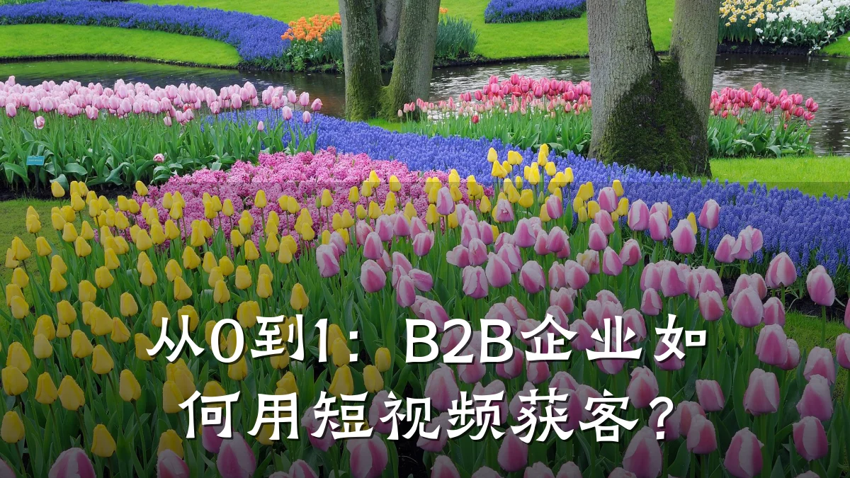 从0到1:B2B企业如何用短视频获客?