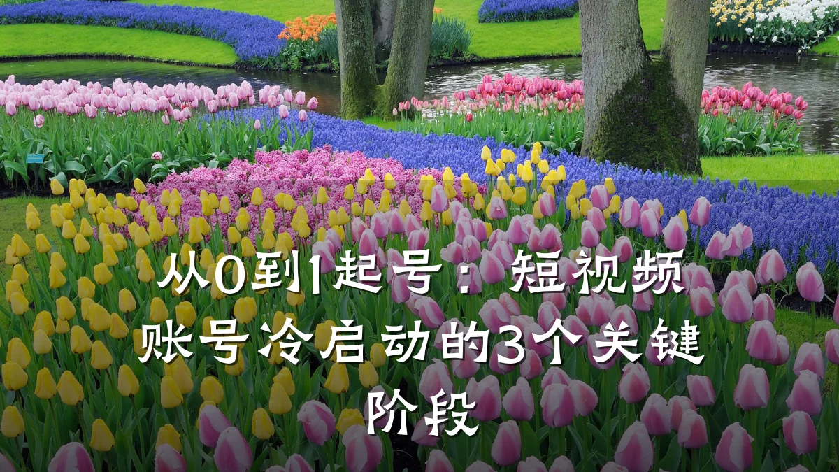从0到1起号:短视频账号冷启动的3个关键阶段