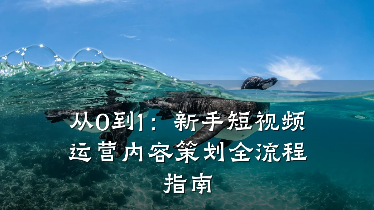 从0到1:新手短视频运营内容策划全流程指南