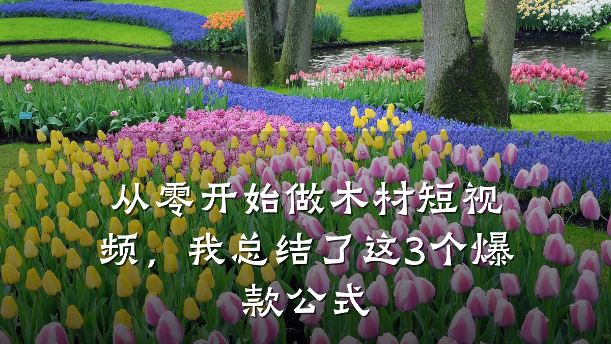 从零开始做木材短视频，我总结了这3个爆款公式
