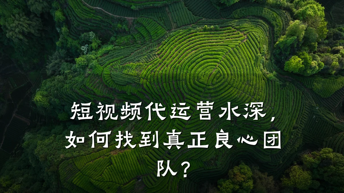 短视频代运营水深，如何找到真正良心团队？