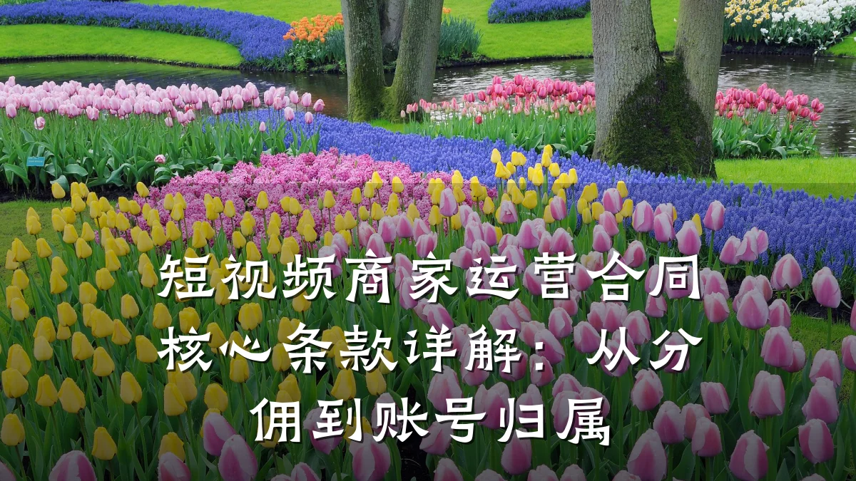 短视频商家运营合同核心条款详解：从分佣到账号归属