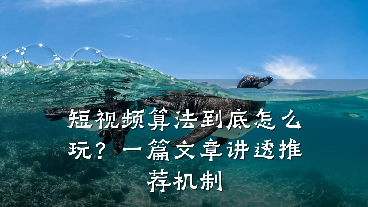 短视频算法到底怎么玩？一篇文章讲透推荐机制