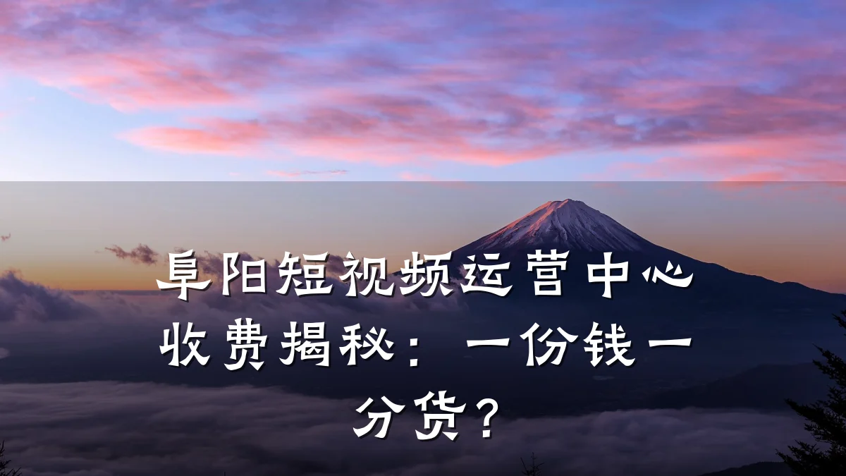 阜阳短视频运营中心收费揭秘:一份钱一分货?