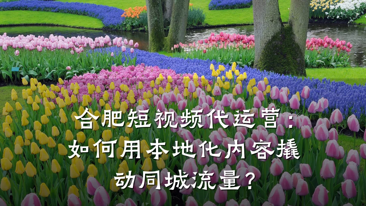 合肥短视频代运营：如何用本地化内容撬动同城流量？