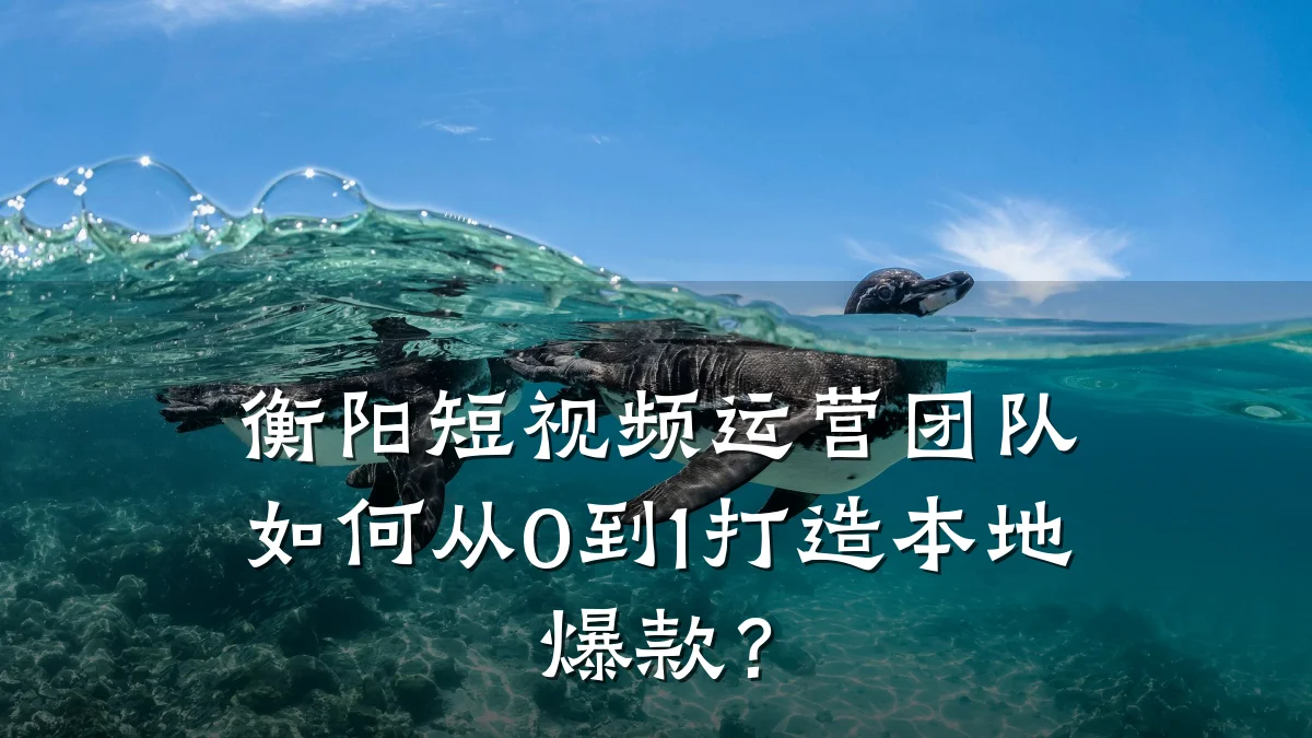 衡阳短视频运营团队如何从0到1打造本地爆款？