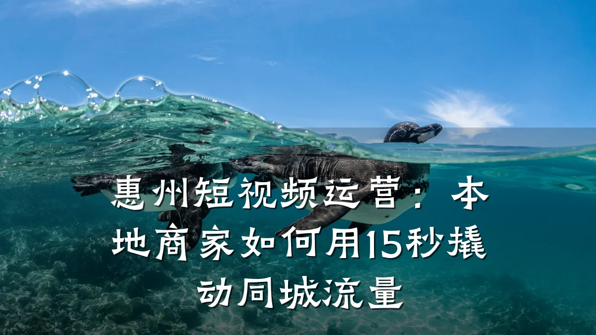 惠州短视频运营：本地商家如何用15秒撬动同城流量
