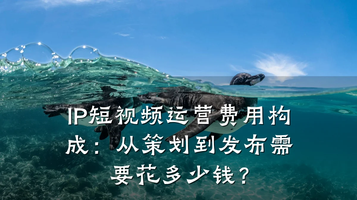 IP短视频运营费用构成：从策划到发布需要花多少钱？
