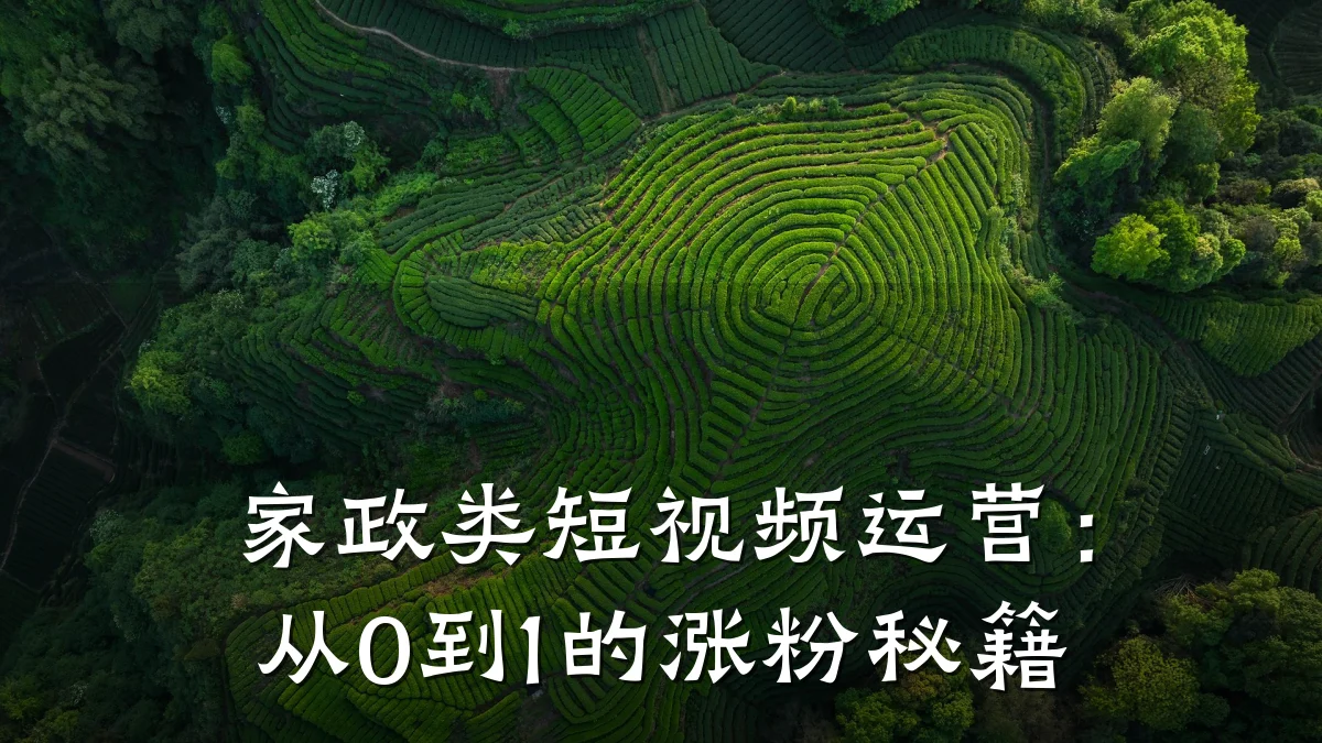 家政类短视频运营:从0到1的涨粉秘籍