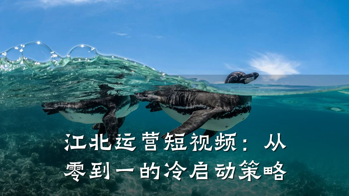 江北运营短视频：从零到一的冷启动策略