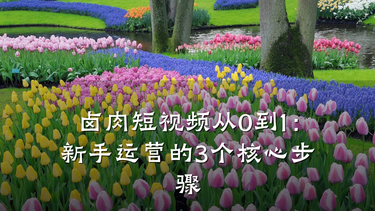 卤肉短视频从0到1:新手运营的3个核心步骤
