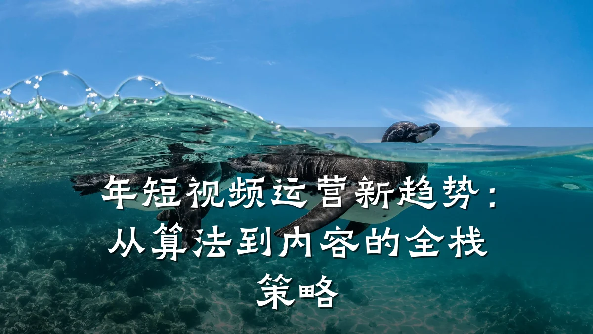 年短视频运营新趋势：从算法到内容的全栈策略