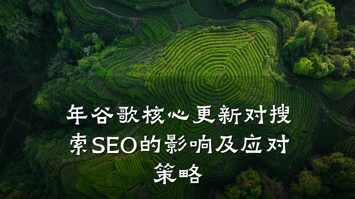 年谷歌核心更新对搜索SEO的影响及应对策略