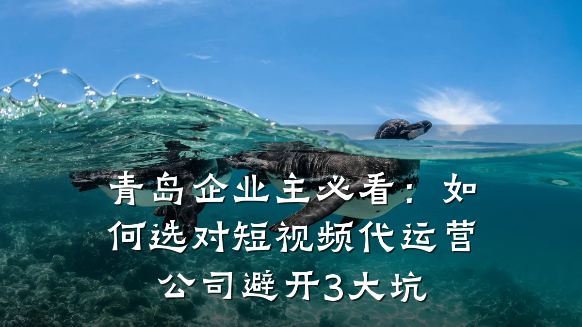 青岛企业主必看:如何选对短视频代运营公司避开3大坑