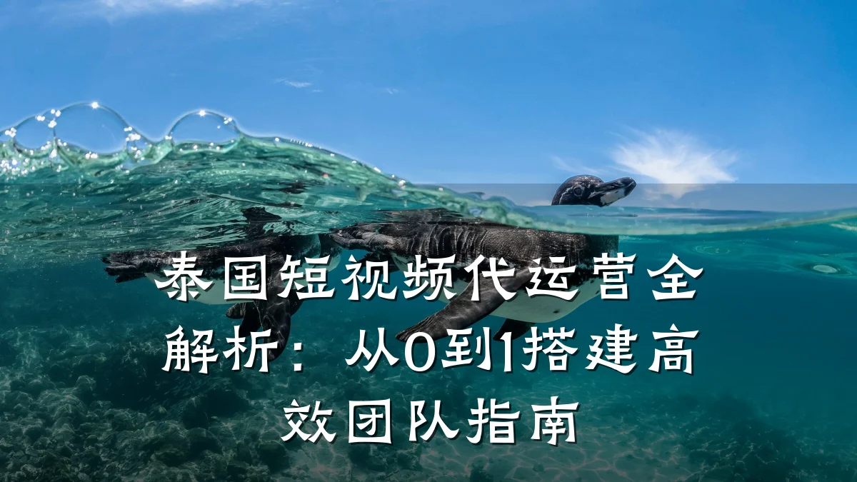 泰国短视频代运营全解析:从0到1搭建高效团队指南
