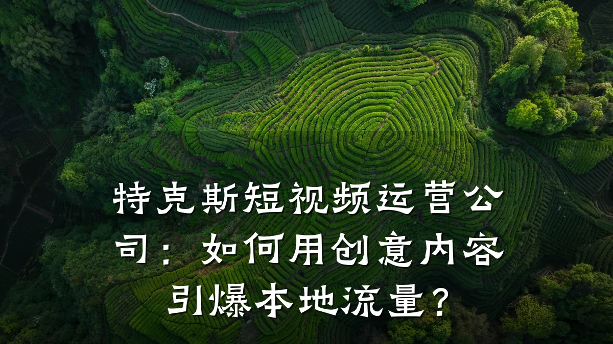 特克斯短视频运营公司：如何用创意内容引爆本地流量？