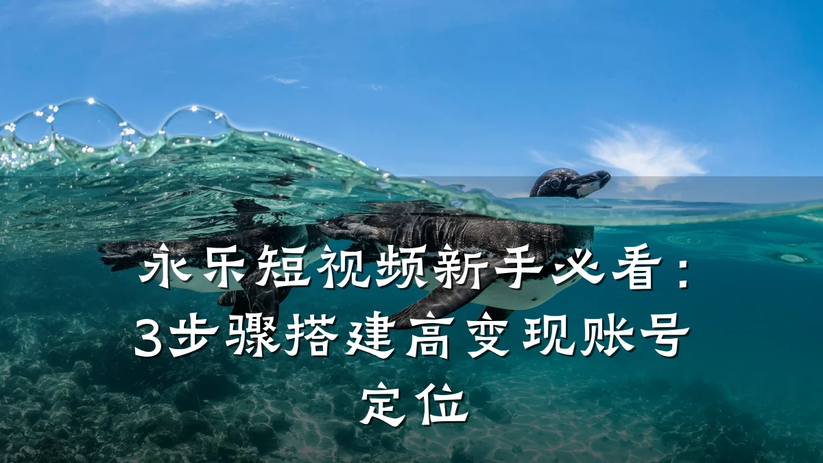 永乐短视频新手必看:3步骤搭建高变现账号定位