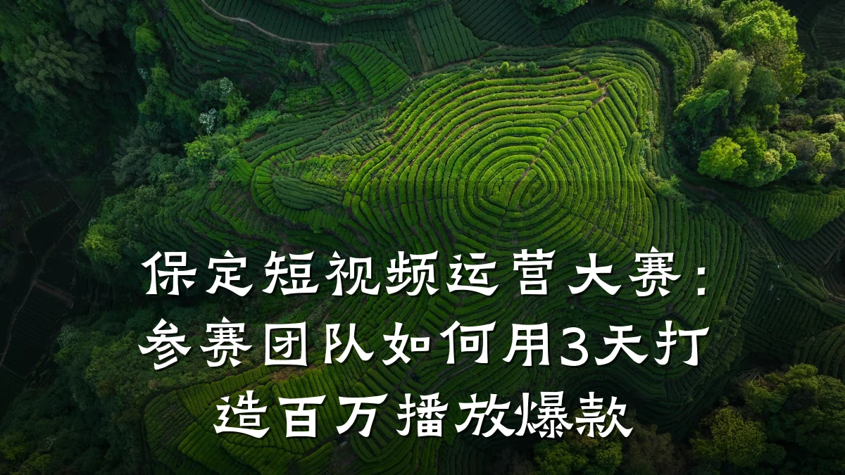 保定短视频运营大赛：参赛团队如何用3天打造百万播放爆款