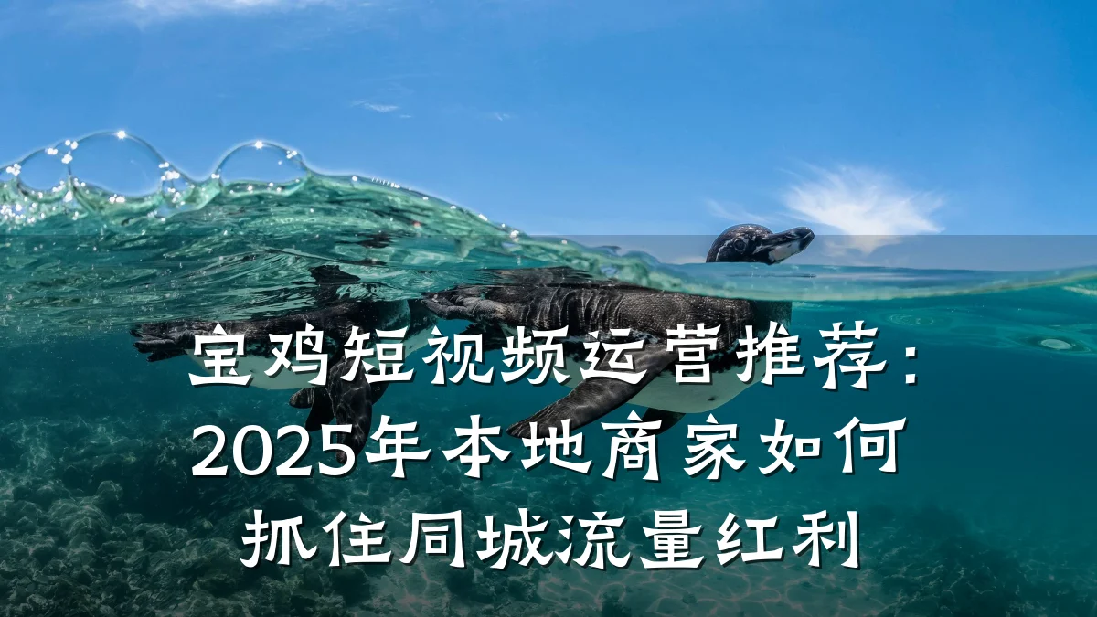 宝鸡短视频运营推荐：2025年本地商家如何抓住同城流量红利