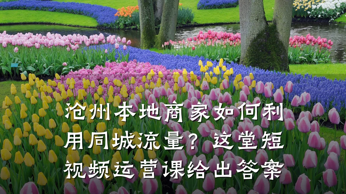 沧州本地商家如何利用同城流量？这堂短视频运营课给出答案