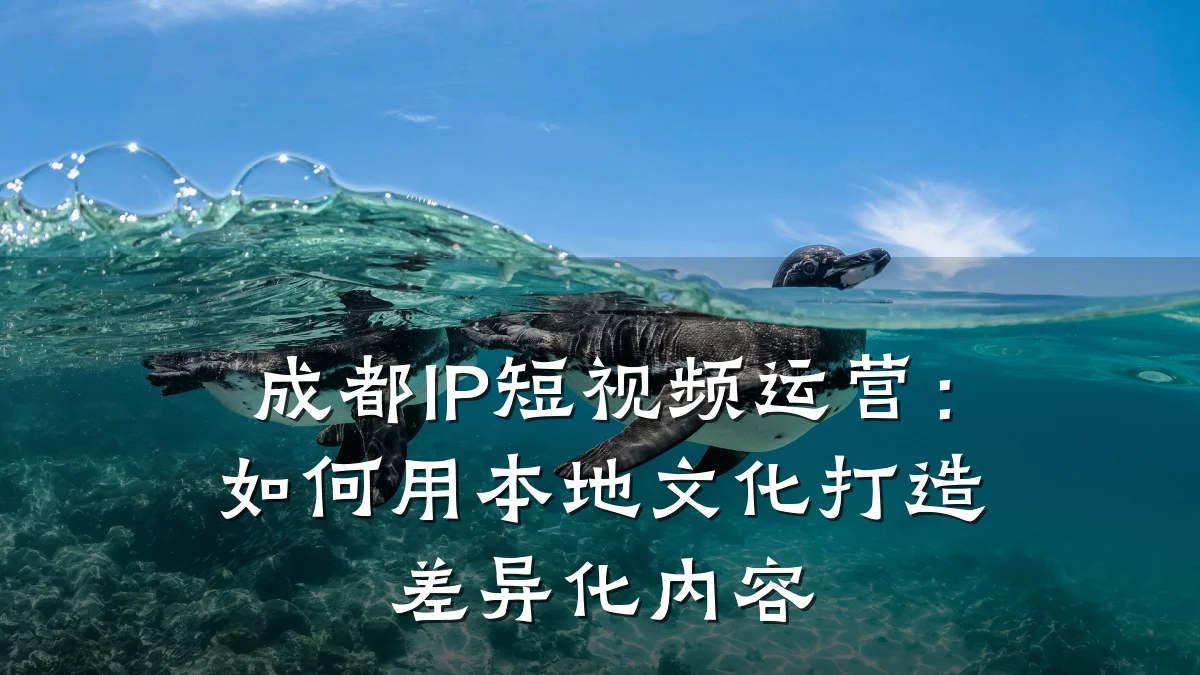 成都IP短视频运营：如何用本地文化打造差异化内容