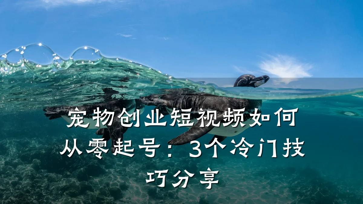 宠物创业短视频如何从零起号：3个冷门技巧分享