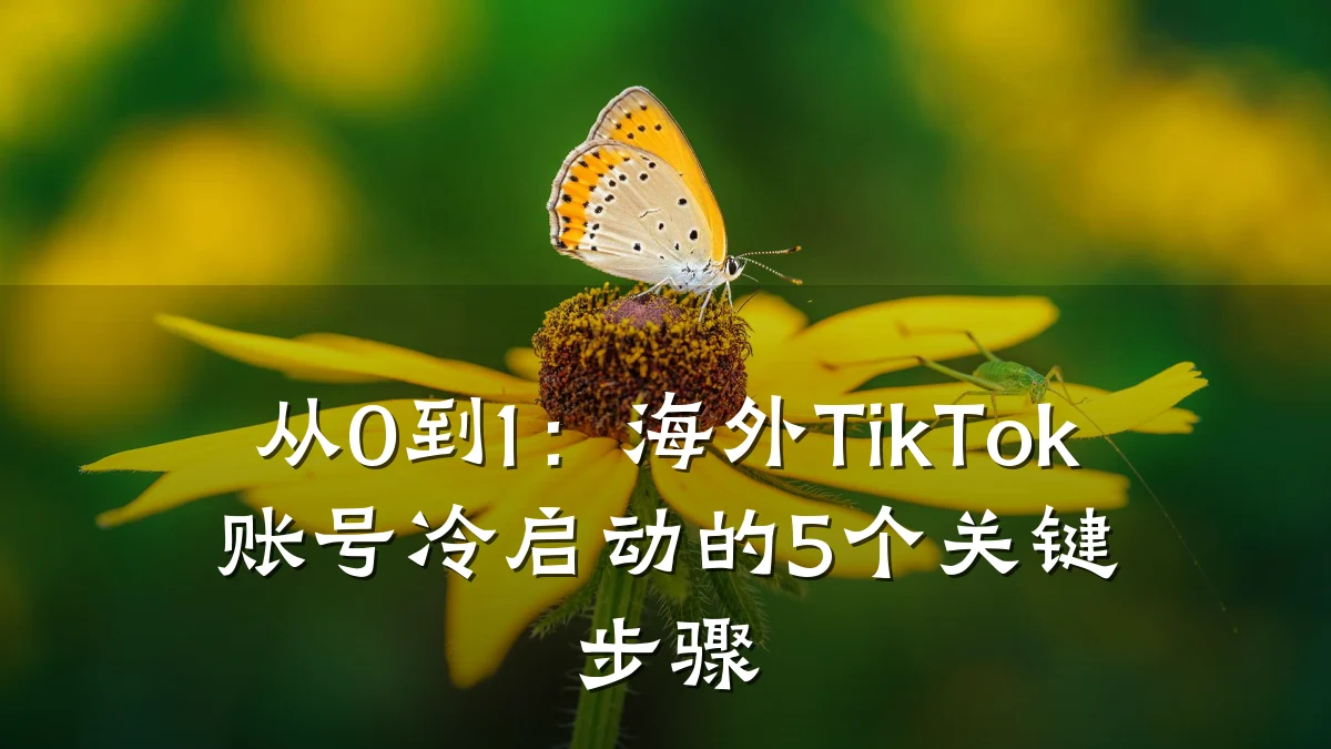 从0到1:海外TikTok账号冷启动的5个关键步骤