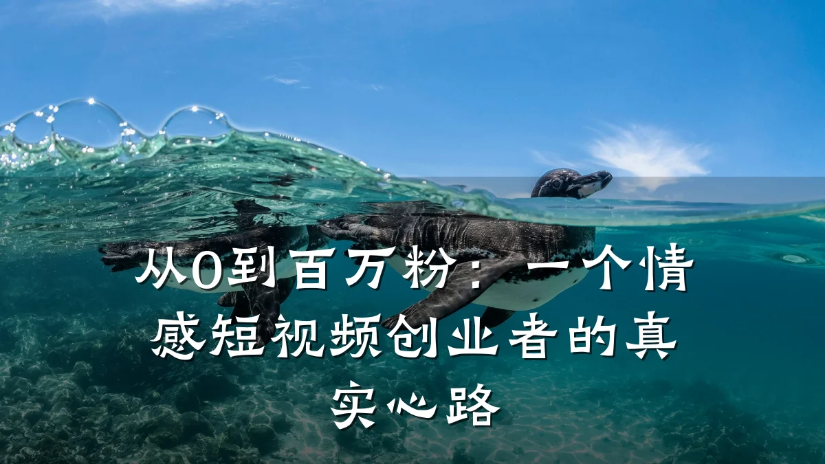 从0到百万粉：一个情感短视频创业者的真实心路