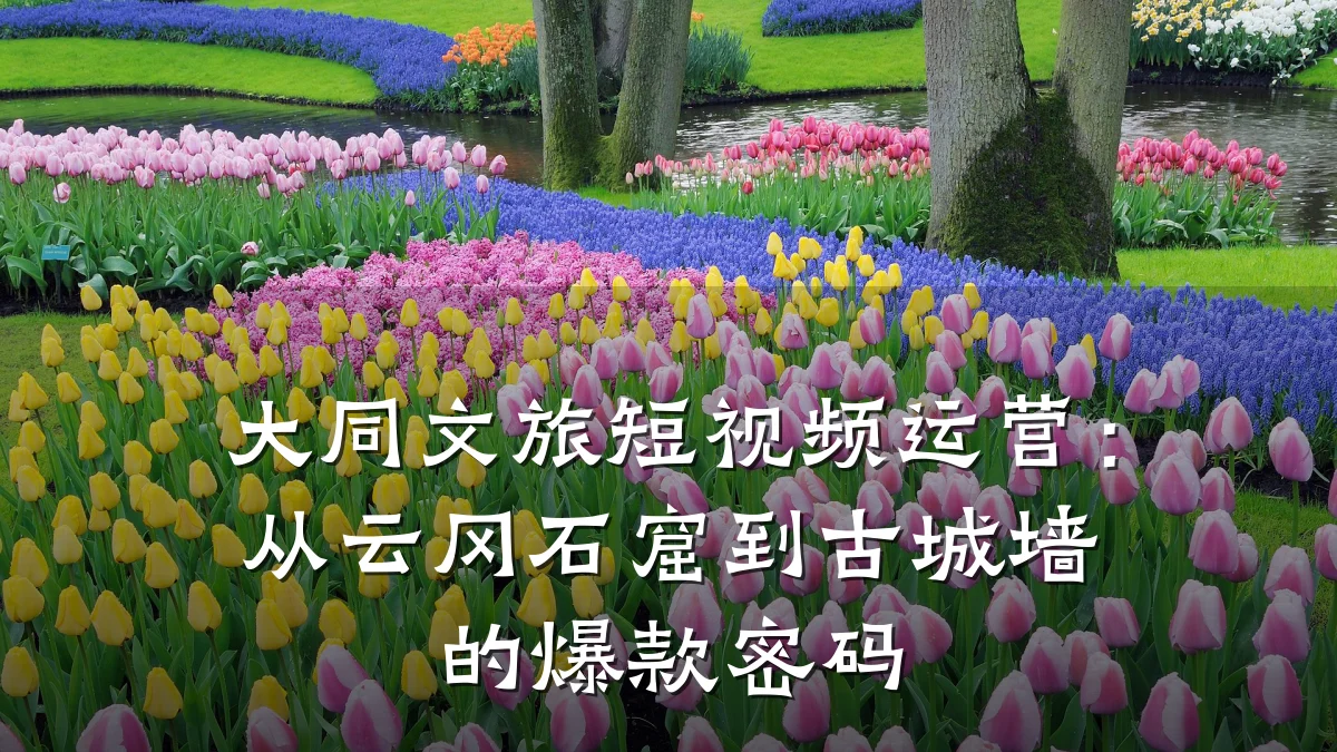大同文旅短视频运营：从云冈石窟到古城墙的爆款密码