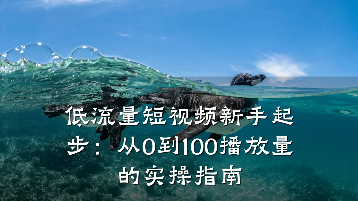 低流量短视频新手起步:从0到100播放量的实操指南