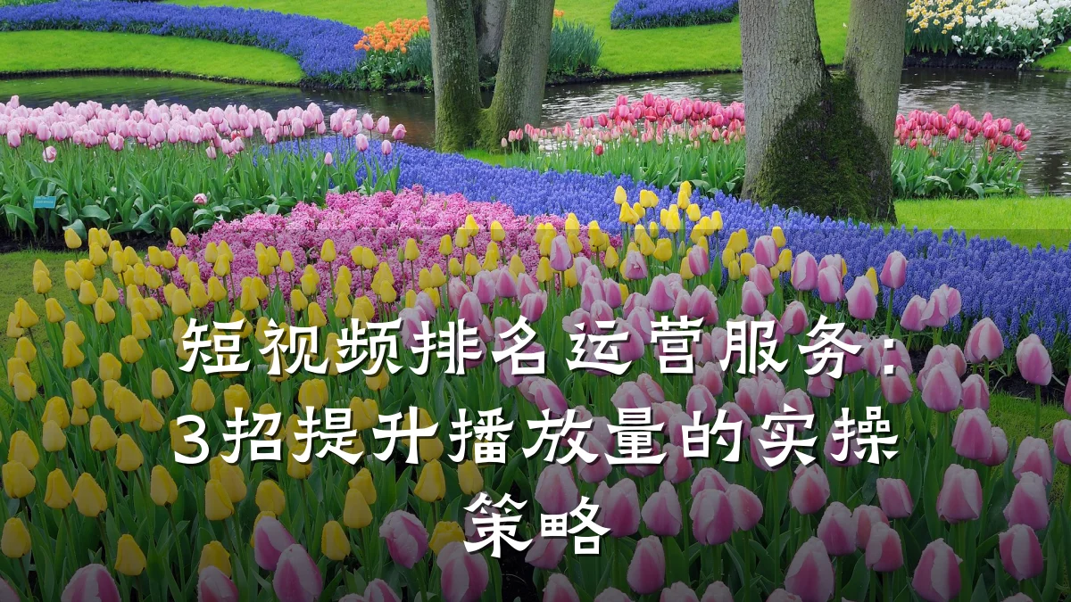 短视频排名运营服务：3招提升播放量的实操策略